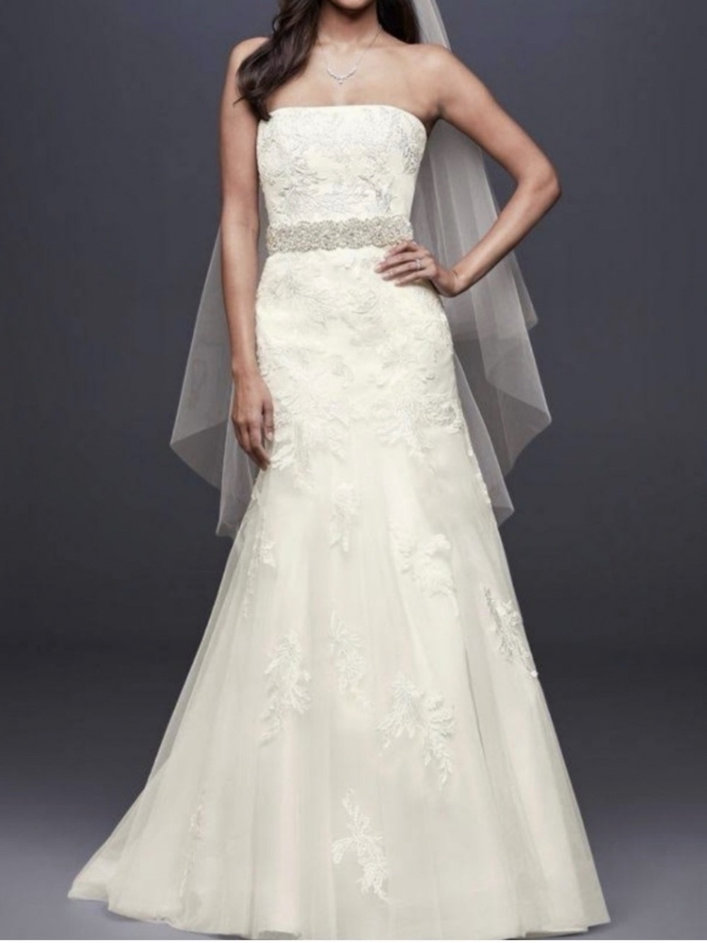 David's Bridal Ivory Lace Wedding Gown